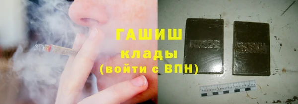 PSILOCYBIN Алзамай