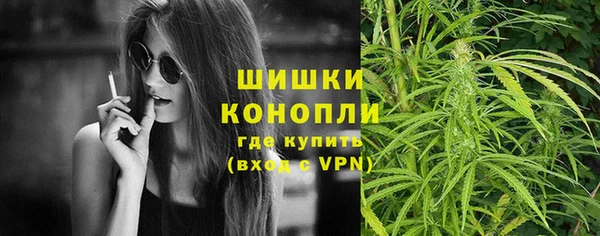 PSILOCYBIN Алзамай
