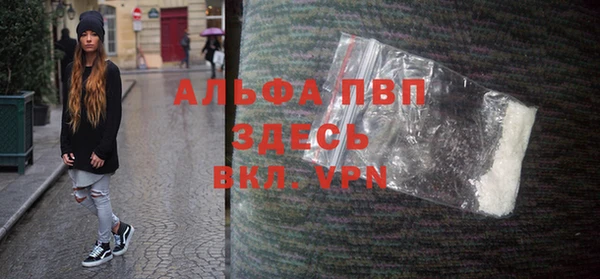PSILOCYBIN Алзамай