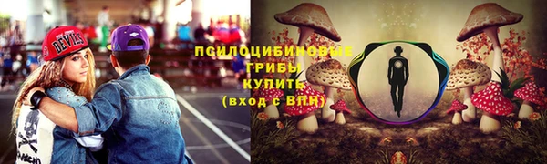 PSILOCYBIN Алзамай