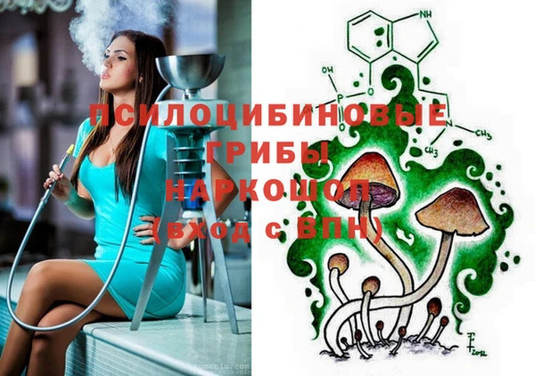 PSILOCYBIN Алзамай