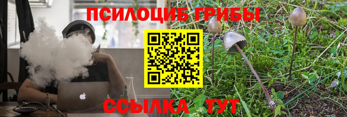 Галлюциногенные грибы Magic Shrooms Сухой Лог