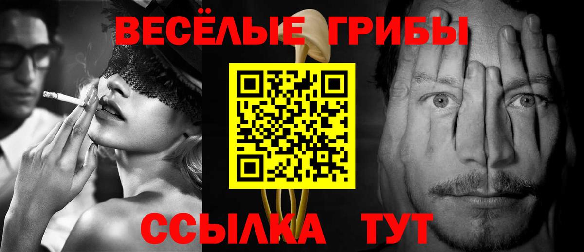 Сухой Лог  Псилоцибиновые грибы Psilocybine cubensis  Вход с VPN 